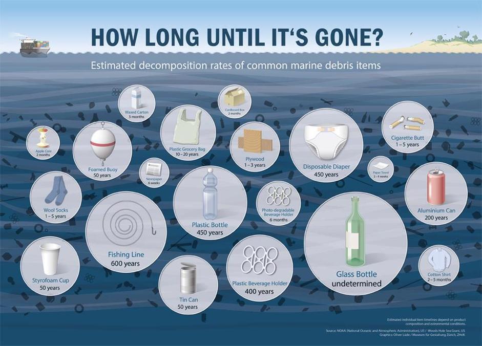 Time taken for items to decompose